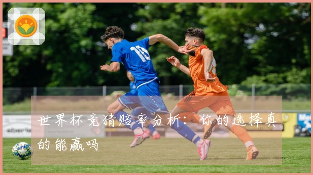 世界杯竞猜赔率分析：你的选择真的能赢吗