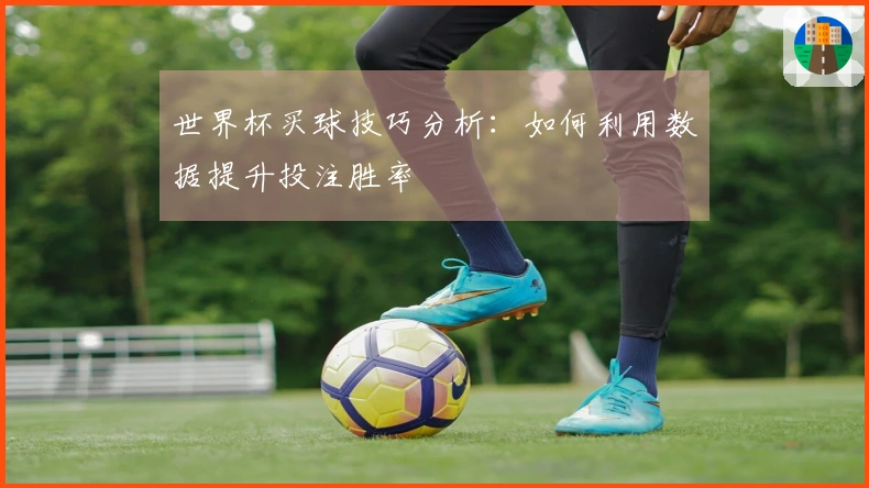 世界杯买球技巧分析：如何利用数据提升投注胜率