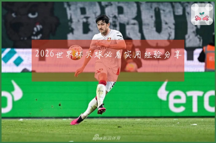2026世界杯买球必看实用经验分享