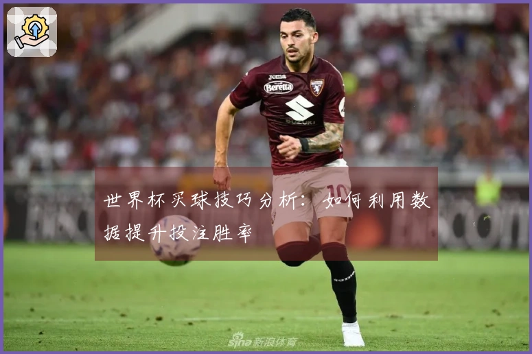 世界杯买球技巧分析：如何利用数据提升投注胜率