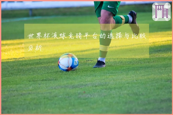 世界杯滚球竞猜平台的选择与比较分析